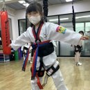 지금 용인대 국가대표 태권도장 이미지