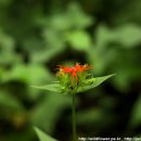 동자목장 이미지