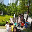 장미꽃길 1 이미지