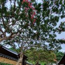 김면장군유적지 이미지