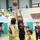 서울연가초등학교 이미지