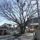 거목경로당 이미지