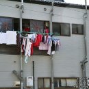 골목식육점 - 북구 | 골목식육점