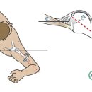 박정형외과의원 이미지