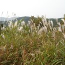 샬롬농장 이미지