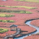 소금밭(신흥리해수욕장) | 최대 태평염전 /소금밭 낙조 전망대/소금 박물관/염생식물원 /소금항 카페 / 소금 가게 /태평염전 100%...