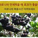 엠엠에프