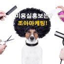조아헤어샵 - 의왕시 | 조아헤어샵