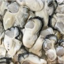 조은매생이갈비탕 이미지