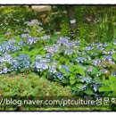 덕동 체육공원 이미지