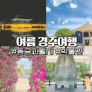 [(7월)전시해설프로그램] 박물관 나와라, 쿵딱-7월2일(15:30) | 경주여행 대릉원 비단벌레전동차 예약 경주박물관 동궁과월지