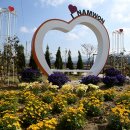 요천제방길 이미지