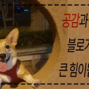 플로정아 이미지