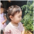 산들숲유치원 이미지