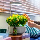 첨단기업5로-62 이미지