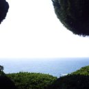 외도조경식물원 이미지