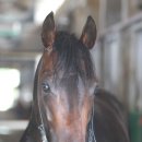 기량축산 이미지