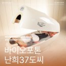둔산중로-37 | 대전바이오포톤 바이오포톤난희37도씨에서 체온관리하면서 다이어트도 하고 면역력도 증가시키자