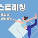킹스트레칭 이미지