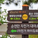 남도삼백리길(2코스) 이미지