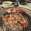 그도야지 이미지