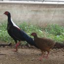 산계농장 이미지