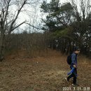 솔봉농장 이미지