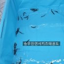 부산여대부속유치원 이미지