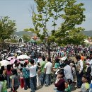 돈버는나비