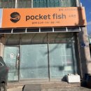 포켓피쉬 이미지