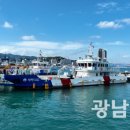 완도12호 이미지