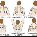뭉트니스 PT & 헬스 이미지