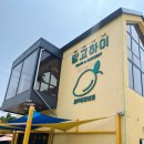 [내돈내산] 제주 중문 카페 &#39;망고하이&#39; 방문 후기, 주문 꿀팁_후레쉬 생망고 추천!