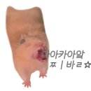 보광수산 네이버블로그