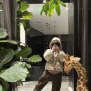 바래봉길 | 오헤브데이호텔 | 지리산뷰 전북숙소 남원호텔 디럭스 트윈 | 솔직후기