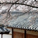 밀양향교 이미지