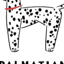 수원-0578 이미지