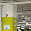 레인보우차이홍 이미지