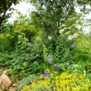 바다향기수목원(도서식물원) 이미지