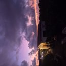 자파리203 이미지