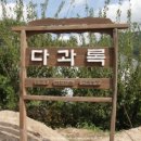 임승기 농장 네이버블로그