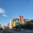 영덕농업협동조합우곡지점 | 브롬톤으로 동해안 자전거길(경북) 당일치기 종주, 해맞이공원인증센터-고래불해변인증센터-월송정인증...