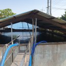 정수축산 이미지