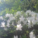 으뜸꼬마김밥 이미지