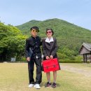 진도군치매안심센터 이미지