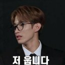 팔캐럿