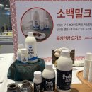 영농조합법인소백밀크 이미지