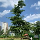 고양시 동물보호센터 이미지