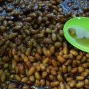 용남김치 이미지