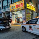 바둑이 애견 이미지